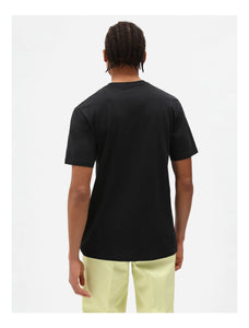 Tee-Shirt Dickies Mapleton Black
