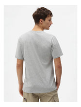Charger l&#39;image dans la galerie, Tee-Shirt Dickies Mapleton Grey
