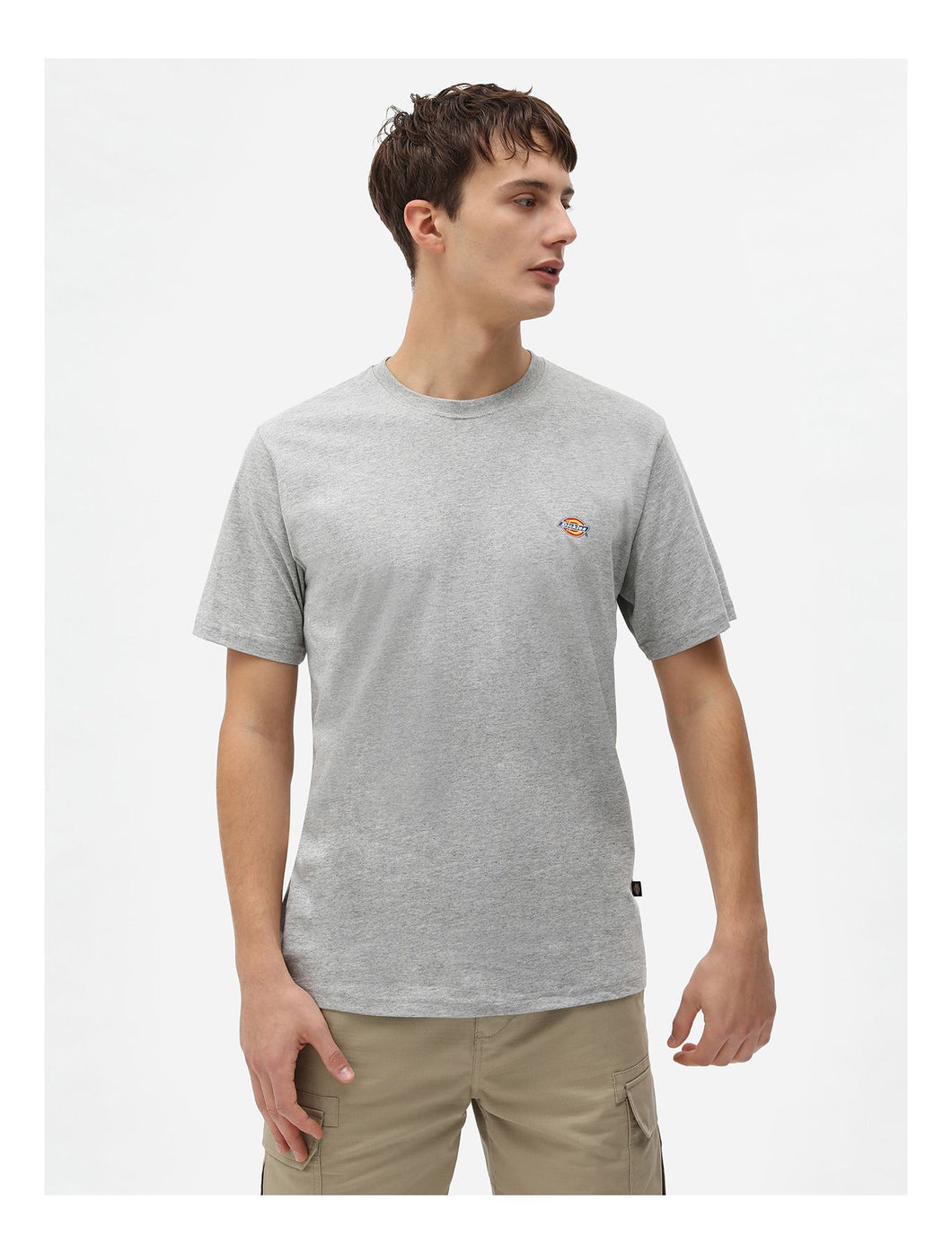Tee-Shirt Dickies Mapleton Grey