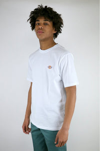 Tee-Shirt Dickies Mapleton White
