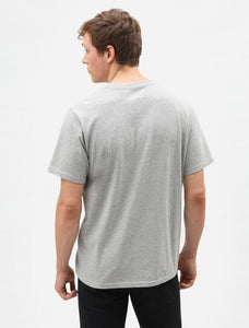 TEE-SHIRT DICKIES ICON LOGO GRIS